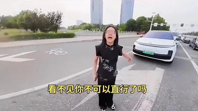：女司机气到流产公布完整行车记录仪九游会J9河北女司机与骑手冲突后续(图14)